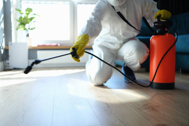 Reliable Blood Cleanup contractor in Lebec, CA by Trauma Clean Pros